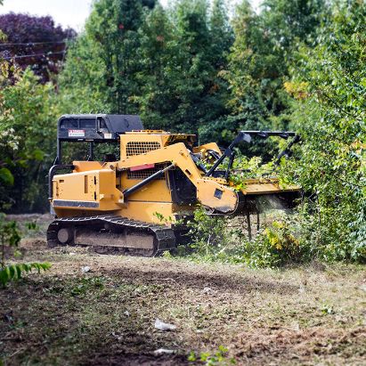 A Machine clearing vegetation